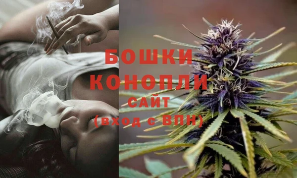 трава Бронницы