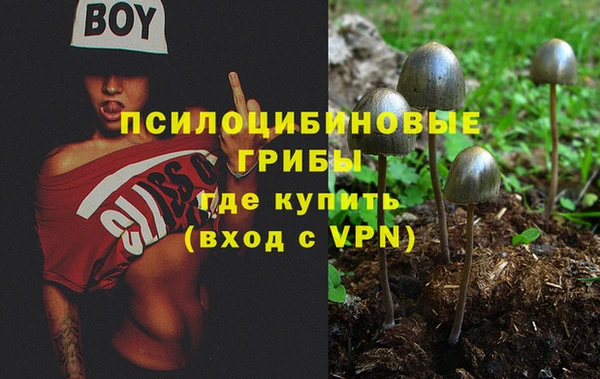 трава Бронницы
