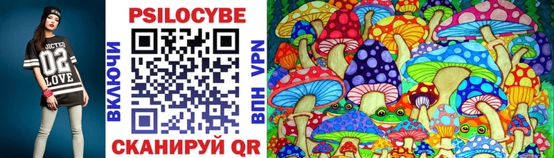 Псилоцибиновые грибы Psilocybe Тотьма